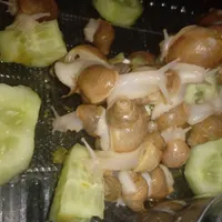 حلزون کلاژن ساز