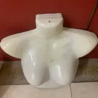 مانکن سر اصلی|فروشگاه و مغازه|مبارکه, |دیوار