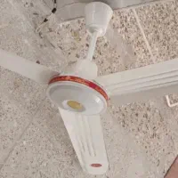 پنکه سقفی معاوضه با پنکه زمینی