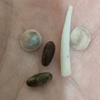 سنگ اصلی تضمینی مهره اصل|جواهرات|شیراز, نصر|دیوار