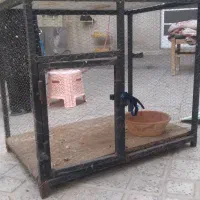 قفس بزرگ