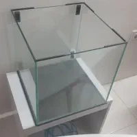 اکواریوم رمیلس