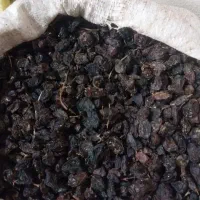 کشمش آفتاب خشک