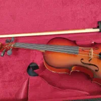 ویولن فروشی