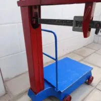 باسکول 300کیلویی