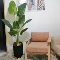 درختچه مصنوعی، آینه، بوفه، رگال، پاف|گل مصنوعی|آبیک, |دیوار