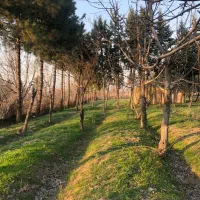 فروش باغ ویلا فیروزبهرام ۲۴۰۰ متر|فروش زمین و ملک کلنگی|چهاردانگه (تهران), |دیوار