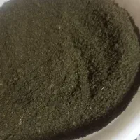 سبزی خورشتی