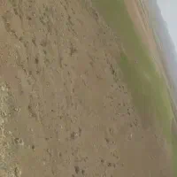 زمین کشاورزی