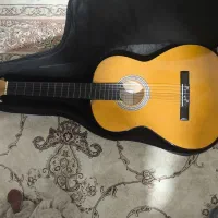 گیتار مارتین