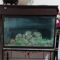 فروش آکواریوم با شیشه ضخیم ۱۰ میل کامل.(توافقی)|ماهی|دزفول, |دیوار