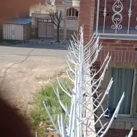 فروش حفاظ در گناباد