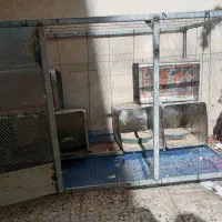 فروش قفس کبوتر یا مرغ