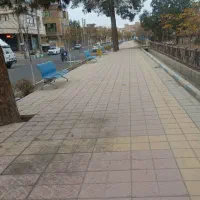 گواهی نامه گمشده