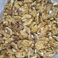 مغز گردوی تازه