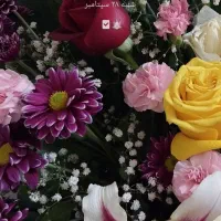 استخدام راننده با ماشین وانت