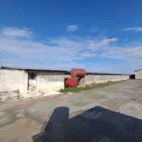 فروش مرغداری گوشتی