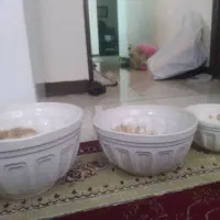گلدان سرامیکی|گل و گیاه طبیعی|اهواز, نادری|دیوار