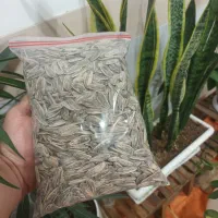 انواع آجیل و تخمه محلی با تفت سنتی|خوردنی و آشامیدنی|قائن, |دیوار