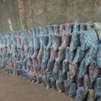 نیروی کار تولیدی بالشت