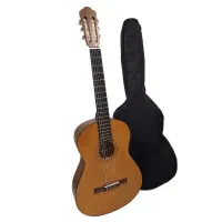 گیتار c70 اورجینال / استند