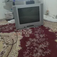 تلوزیون|تلویزیون و پروژکتور|شیروان (خراسان), |دیوار