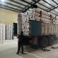 موکت پالاز پرزبلند( تنها نمایندگی پالاز کاشان)|موکت|کاشان, میدانگاه آقا|دیوار