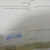 تیبا ۲|خودرو سواری و وانت|مشهد, موسوی قوچانی|دیوار