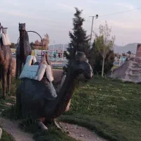 فروش بزغاله نر پرواری