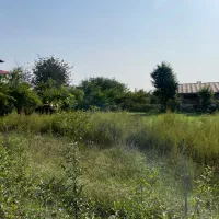 600 متر زمین مسکونی شاندرمن زیبا