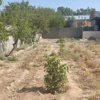 ۱۰۰۶ متر ویلایی سوله با سند تک برگی سه راه طالقان|فروش خانه و ویلا|کرج, گلشهر|دیوار