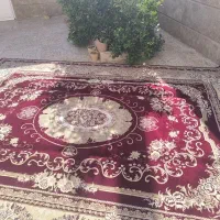 فرش ماشینی|فرش|شیراز, رکن‌آباد|دیوار