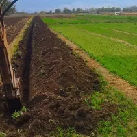 اجاره بیل‌ بکهو|خدمات پیشه و مهارت|بروجرد, |دیوار