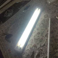 مهتابی دو قلو3 عدد سالم|لامپ و چراغ|گنبد کاووس, |دیوار
