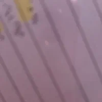 مدارک گمشده