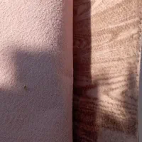 فروش موکت