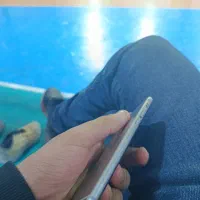 آیفون 6sدرحد|موبایل|تهران, شکوفه (عبدل آباد)|دیوار