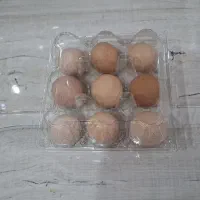 تخم مرغ محلی با بهترین کیفیت دان|خوردنی و آشامیدنی|رفسنجان, |دیوار