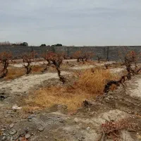 باغ-4دیواری-سندار-400متری-دهشاد-شهریار