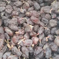 کشمش آفتابی درشت بوانات|خوردنی و آشامیدنی|بوانات, |دیوار