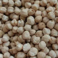 خیلی زود پز وارگانیگ