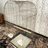 قفس عروس هلندی ،طوطی