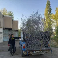 تولیدی حفاظ شاخ گوزنی ودرب وپنجره|مصالح و تجهیزات ساختمان|خرمدره, |دیوار