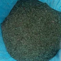 آویشن به فروش میرسد