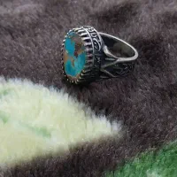 فیروزه اصل نیشاپور|بدلیجات|بهار, |دیوار