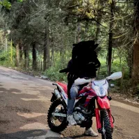 تریل فلات xr