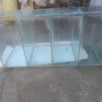 ویترین و استند|حراج|اسدآباد, |دیوار