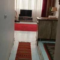 اجاره منزل|اجارهٔ آپارتمان|مشهد, نوید|دیوار