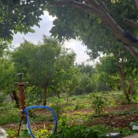 زمین  بر جاده اصلی