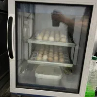 دستگاه جوجه کشی ۸۴تایی بلدرچین دماوند